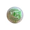 BOUTON BIJOU ROND BOMBE VERT Elisa Cavaletti JEWMG0273V